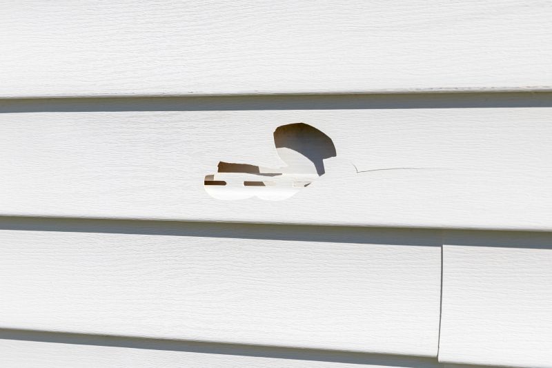 Detail of Vinyl Siding Fix